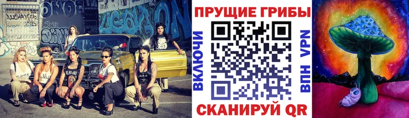 Псилоцибиновые грибы GOLDEN TEACHER  Пикалёво 